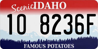 ID license plate 1O8236F