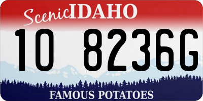 ID license plate 1O8236G