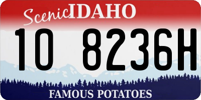 ID license plate 1O8236H