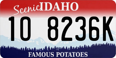ID license plate 1O8236K
