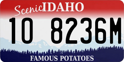 ID license plate 1O8236M