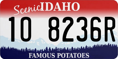 ID license plate 1O8236R