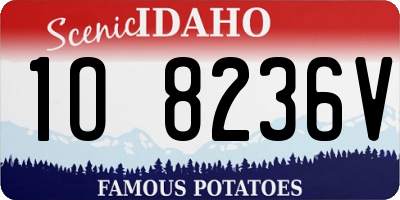 ID license plate 1O8236V