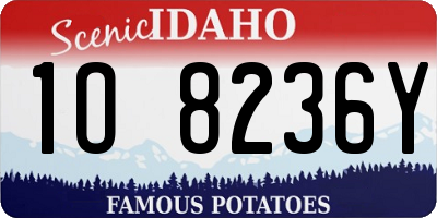 ID license plate 1O8236Y