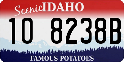 ID license plate 1O8238B