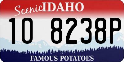 ID license plate 1O8238P