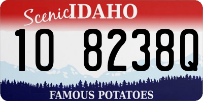 ID license plate 1O8238Q