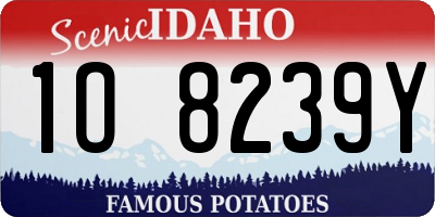 ID license plate 1O8239Y