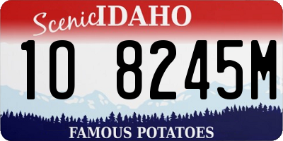 ID license plate 1O8245M