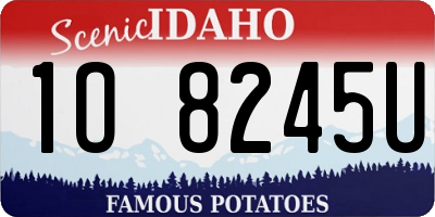 ID license plate 1O8245U