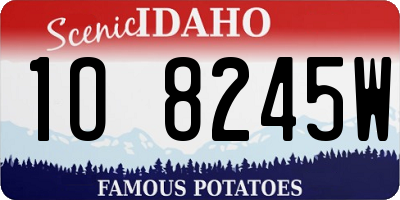 ID license plate 1O8245W