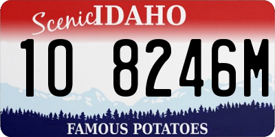 ID license plate 1O8246M