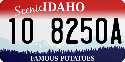 ID license plate 1O8250A