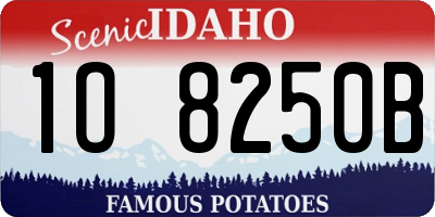 ID license plate 1O8250B