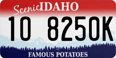 ID license plate 1O8250K