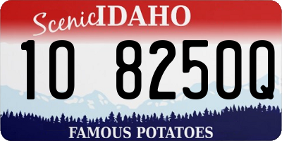 ID license plate 1O8250Q