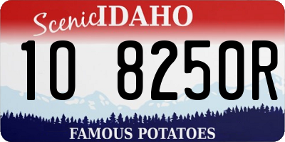 ID license plate 1O8250R