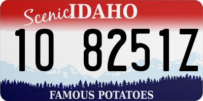 ID license plate 1O8251Z