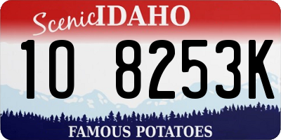 ID license plate 1O8253K