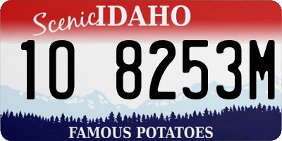 ID license plate 1O8253M