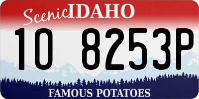 ID license plate 1O8253P