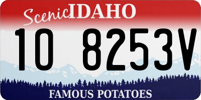 ID license plate 1O8253V