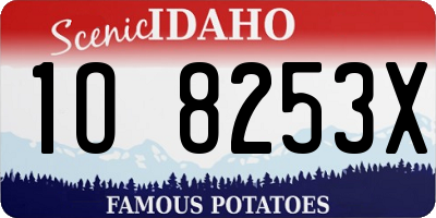 ID license plate 1O8253X