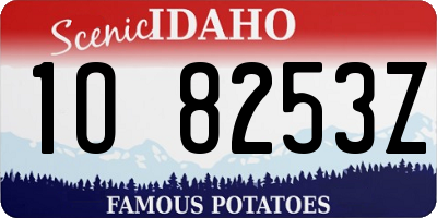 ID license plate 1O8253Z