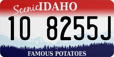 ID license plate 1O8255J