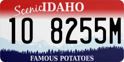 ID license plate 1O8255M