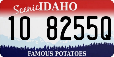 ID license plate 1O8255Q