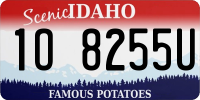 ID license plate 1O8255U