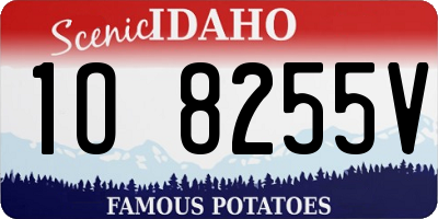 ID license plate 1O8255V