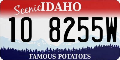 ID license plate 1O8255W