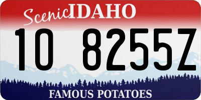 ID license plate 1O8255Z
