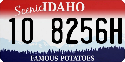 ID license plate 1O8256H
