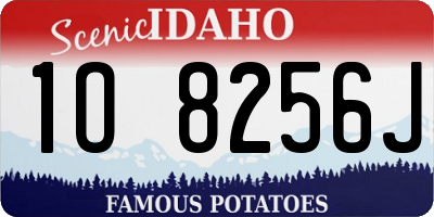 ID license plate 1O8256J
