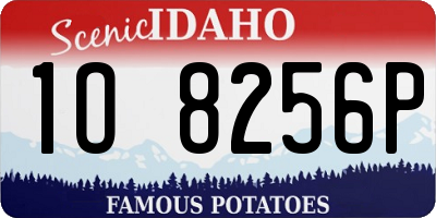 ID license plate 1O8256P