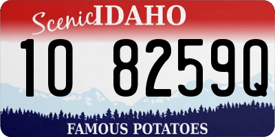 ID license plate 1O8259Q