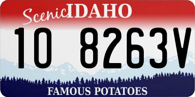 ID license plate 1O8263V