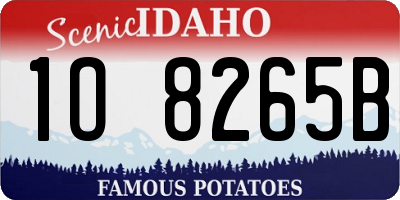 ID license plate 1O8265B