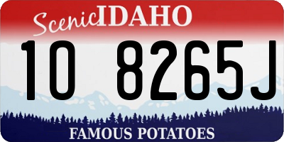 ID license plate 1O8265J