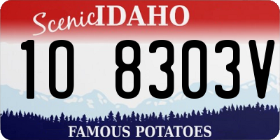 ID license plate 1O8303V