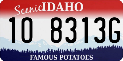 ID license plate 1O8313G