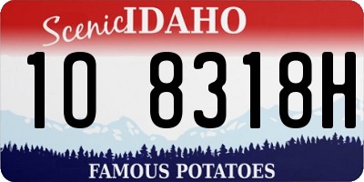 ID license plate 1O8318H