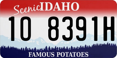 ID license plate 1O8391H