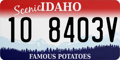 ID license plate 1O8403V