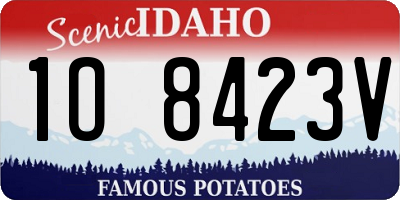 ID license plate 1O8423V