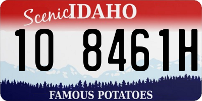 ID license plate 1O8461H