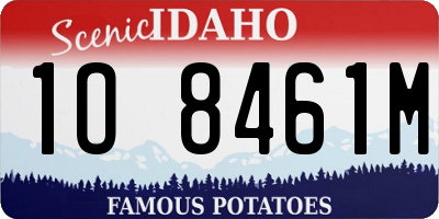 ID license plate 1O8461M